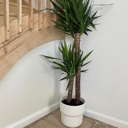 L Appartement Sete Magnifique Duplex Climatise Sète Exterior foto